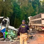 Al menos 23 muertos al chocar un camión contra un autobús con pacientes rumbo al hospital en Brasil